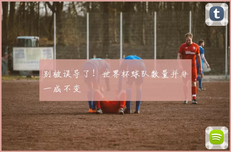 别被误导了!世界杯球队数量并非一成不变