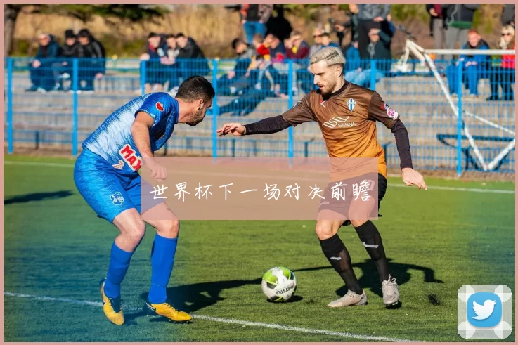 世界杯下一场对决前瞻