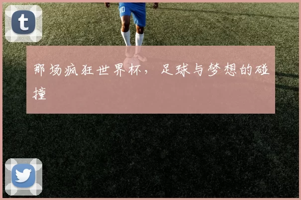 那场疯狂世界杯，足球与梦想的碰撞