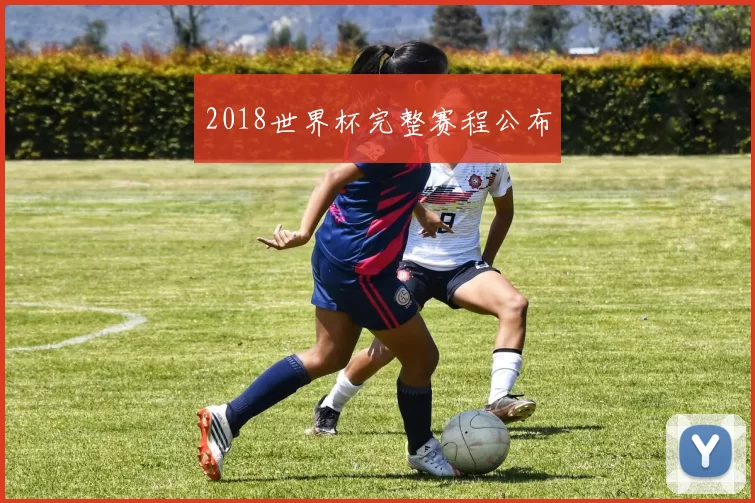 2018世界杯完整赛程公布