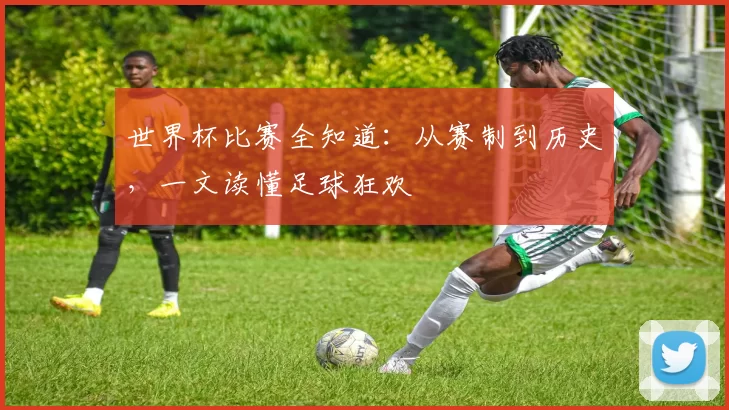 世界杯比赛全知道:从赛制到历史,一文读懂足球狂欢