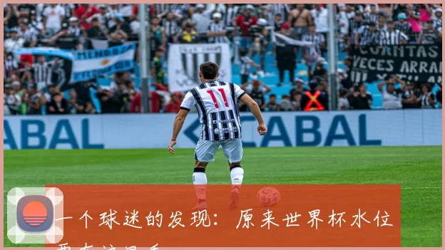一个球迷的发现:原来世界杯水位要在这里看
