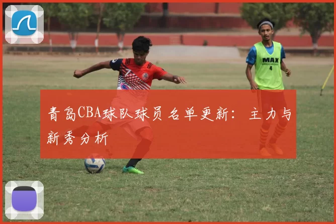 青岛CBA球队球员名单更新：主力与新秀分析